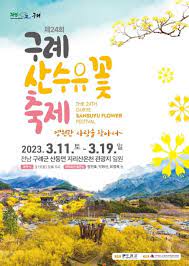 구례산수유꽃축제