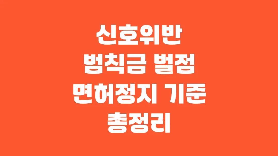 신호위반 범칙금 벌점 면허정지 기준 총정리