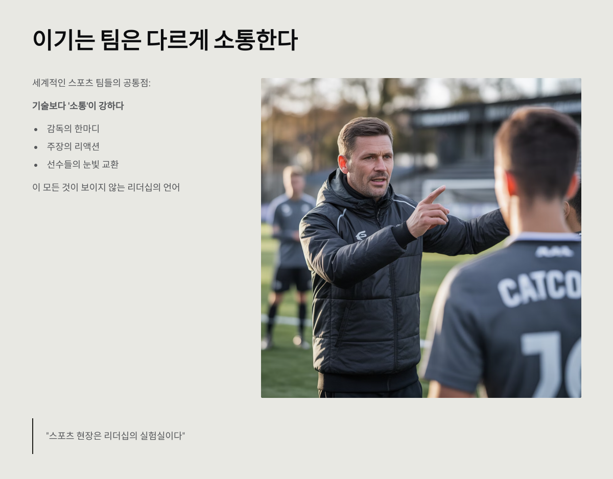 팀워크를 높이는 소통의 기술, 스포츠에서 배우는 리더십
