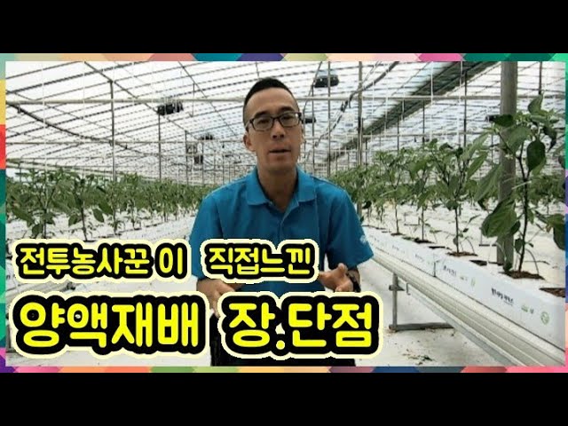 생방송오늘저녁 경남 밀양 유튜브 영상 뛰는 전투 농사꾼 사위 장서방 위에 나는 장모님 이야기 추천