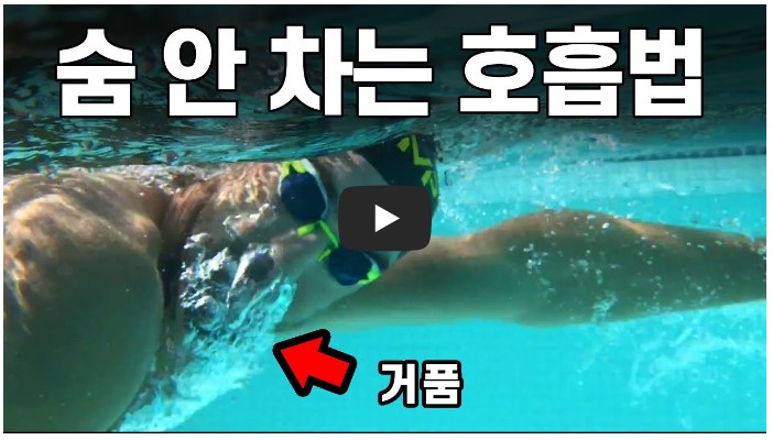 수영 유튜버 순위 TOP 10 4