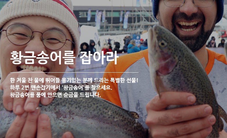 평창 송어축제 