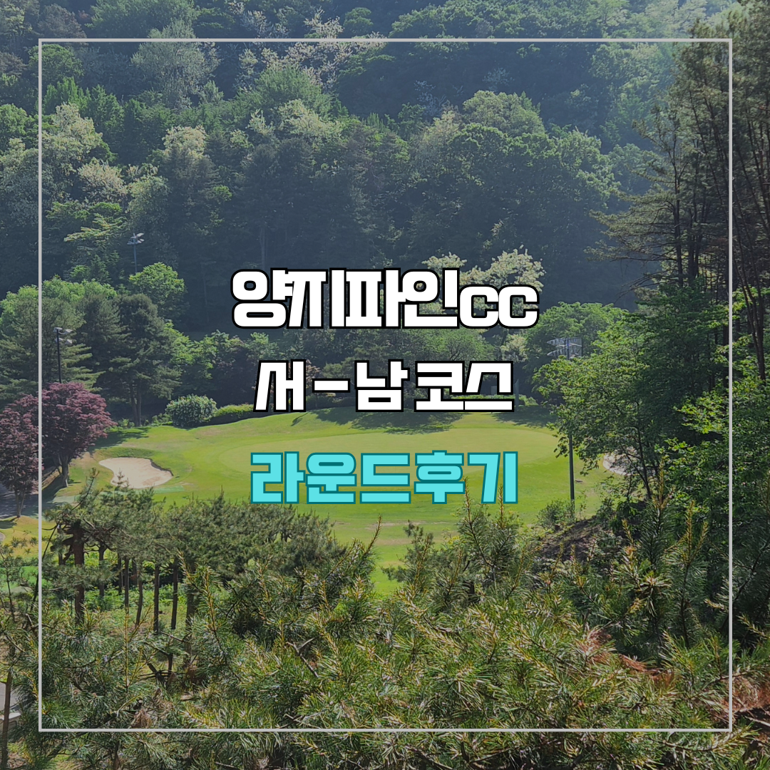 양지파인cc 서-남 코스 라운드 후기