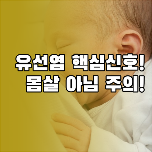 모유수유 유선염 초기 진단법 몸살과 ..