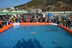 제 16회 거제 대구 수산물 축제