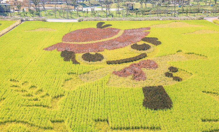 김제 가볼만한 곳