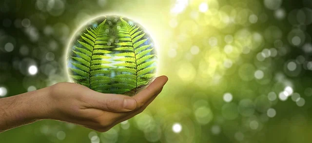 전기차 정책 변화와 환경 보호의 관계