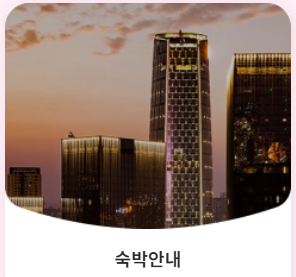 진해군항제