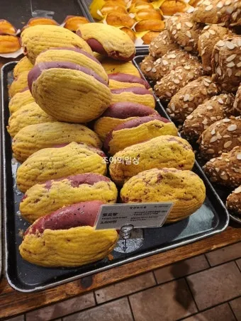 성심당 빵 추천 망고시루가 아닌 망고롤 맛은 어떨까_23