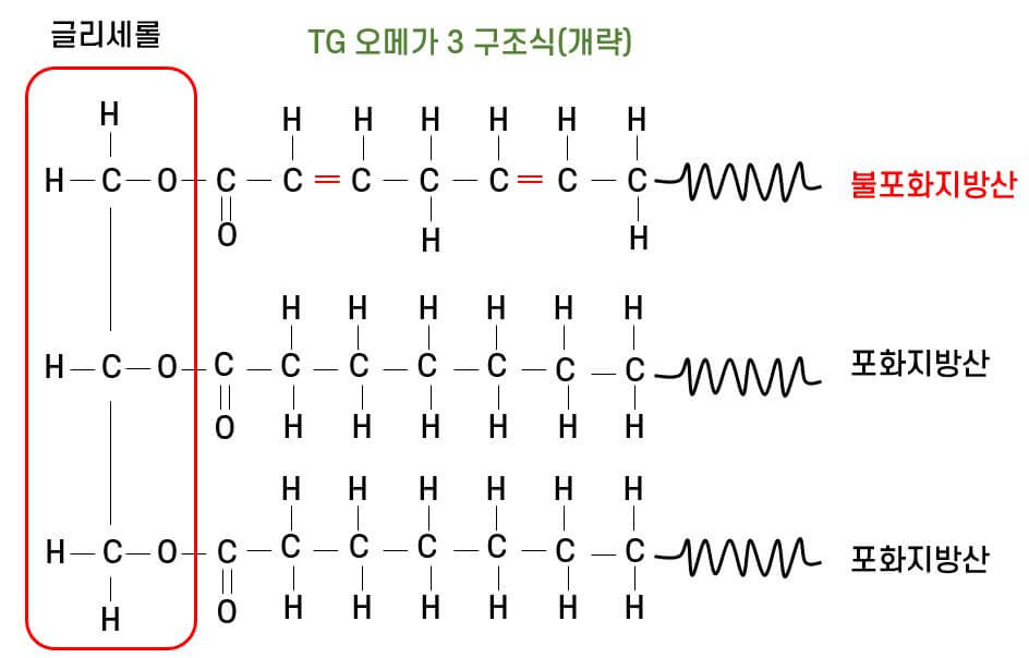 TG 오메가 3 분자구조