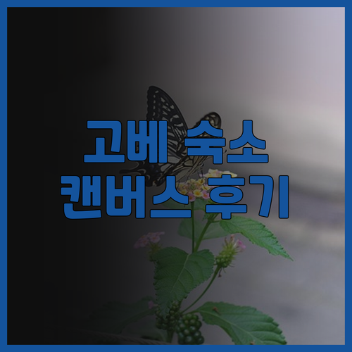 고베 여행 필수 숙소 더 로열 파크 ..