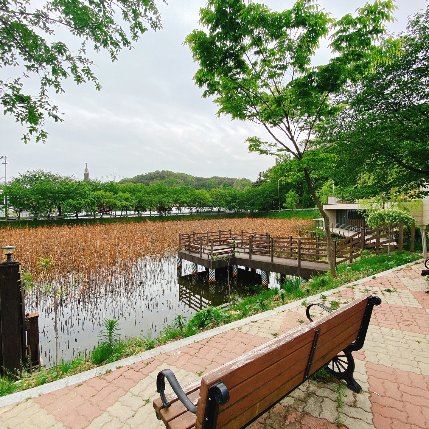 충북 청주 부모산 주봉마을 주봉저수지 한옥 북카페 인문아카이브양림 후마니타스