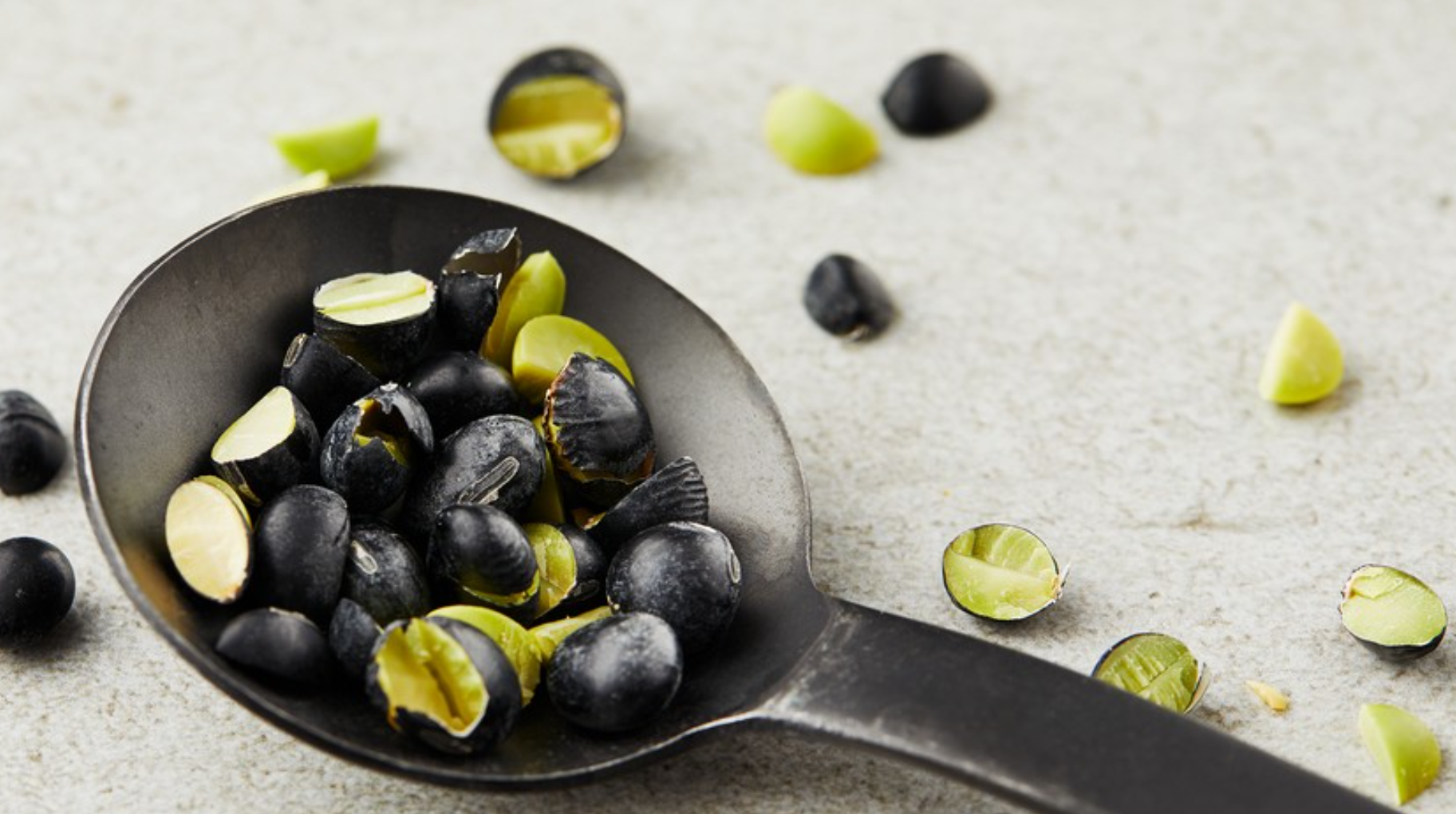 서리태 파종시기