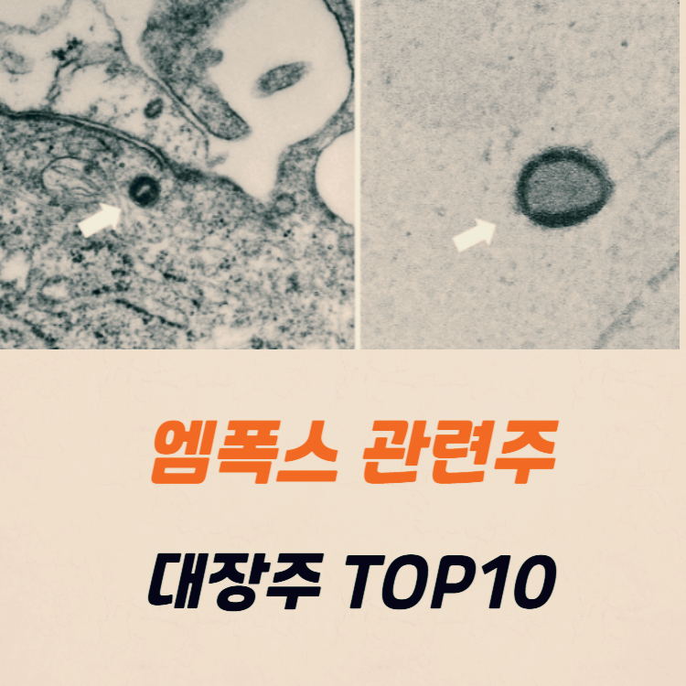 원숭이두창 엠폭스 관련주 TOP10