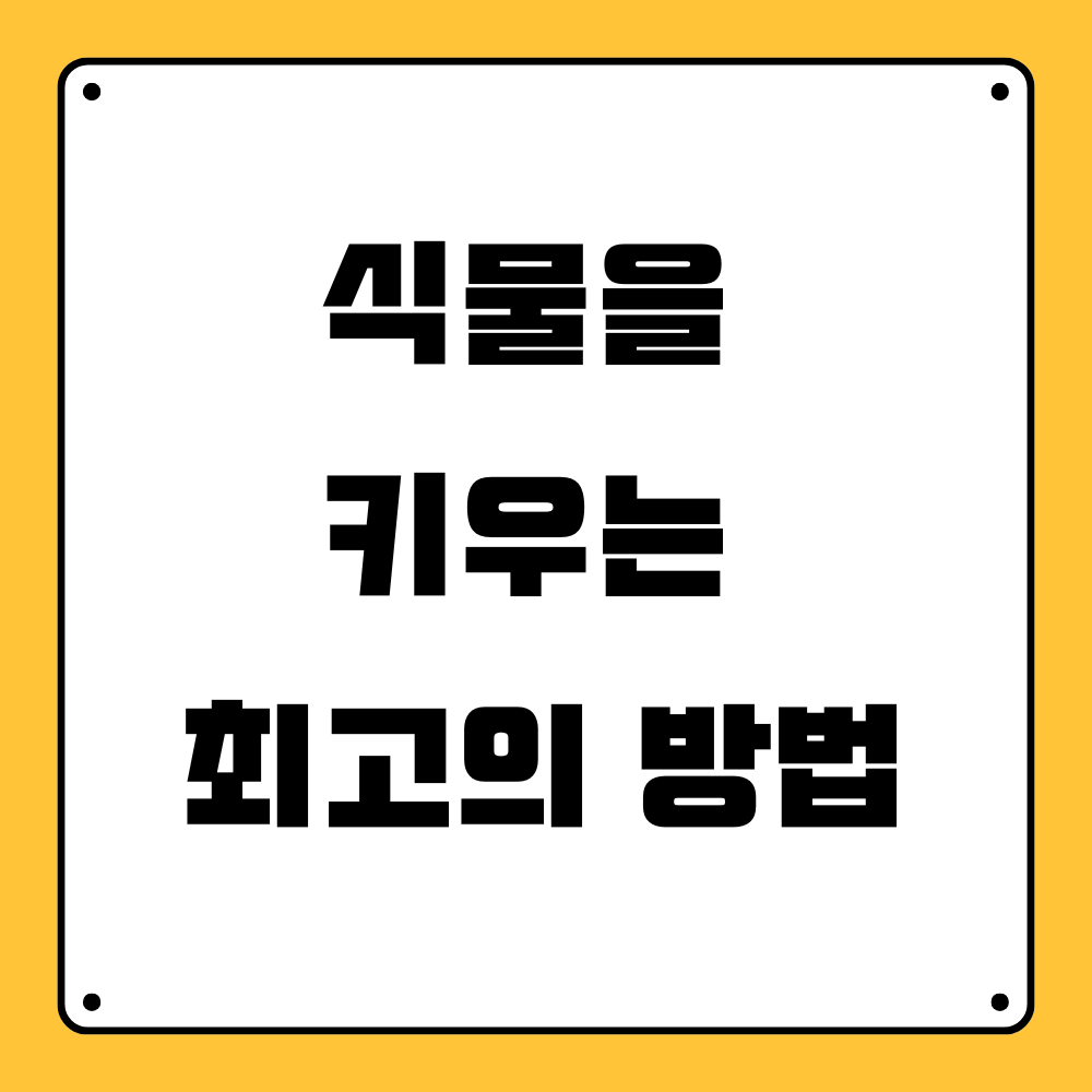 식물을 키우는 최고의 방법