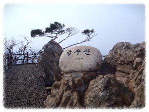 금수산