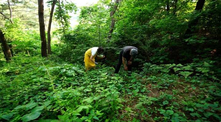 한국기행-화천-용화산-한옥-산방