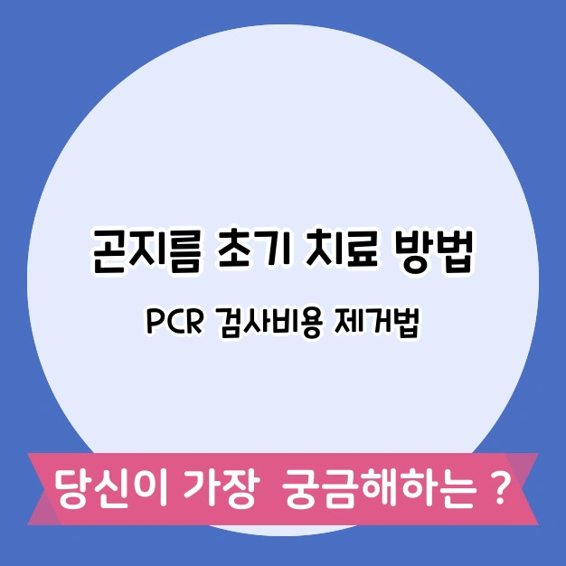 곤지름 초기 치료비용
