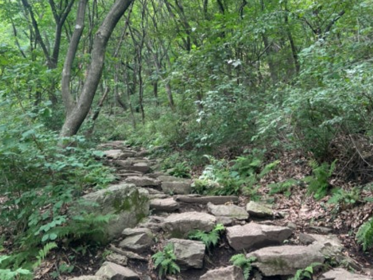 청계산 등산코스