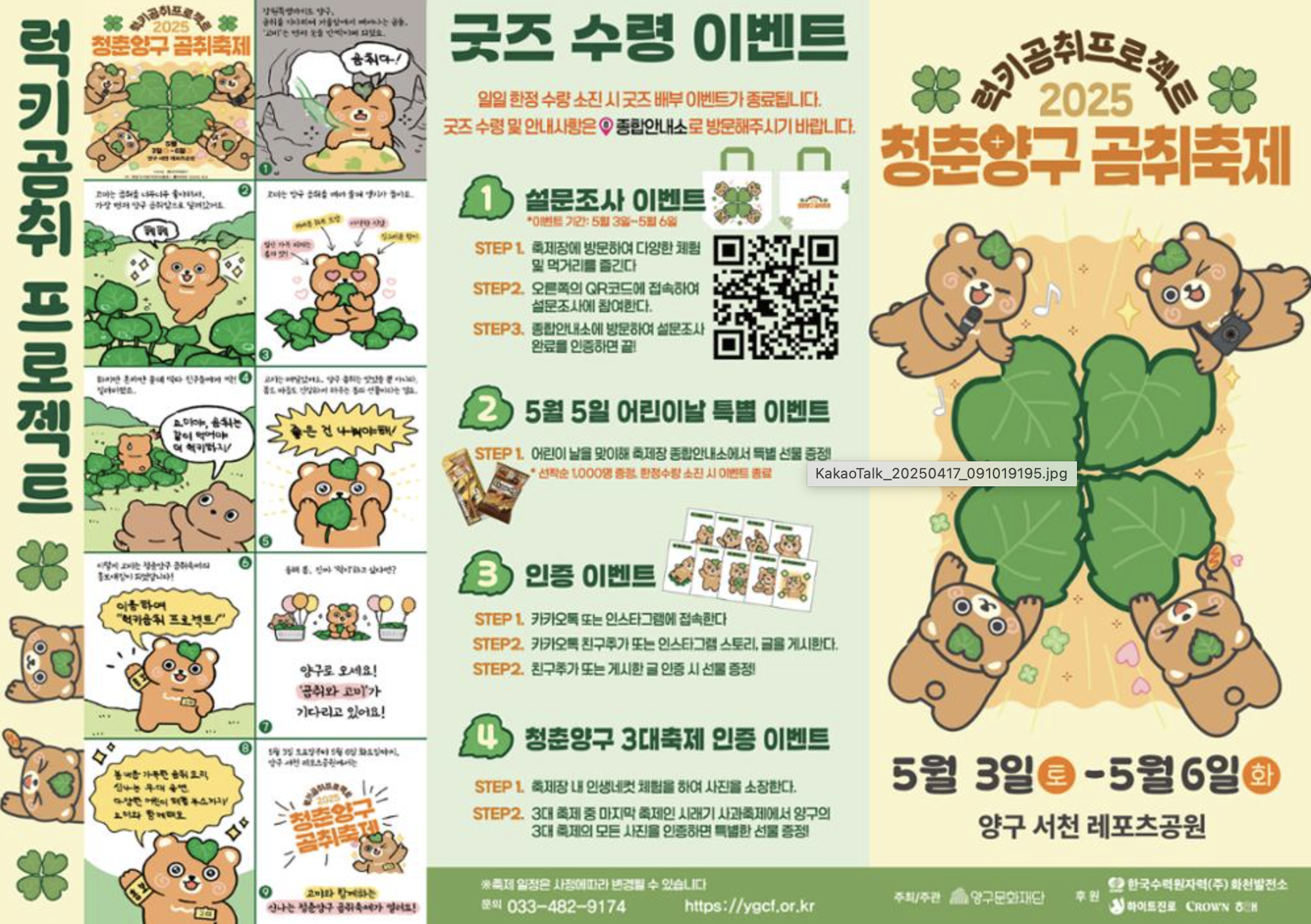 양구 곰취 축제