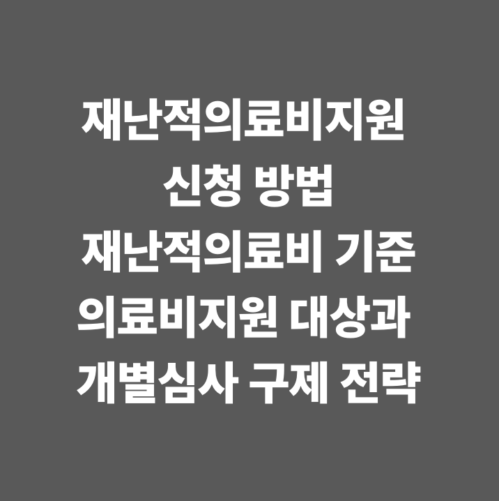 재난적의료비지원 신청 방법&middot;재난적의료비 기준&middot;의료비지원 대상과 개별심사 구제 전략