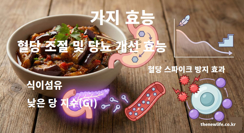 혈당 조절을 돕고 인슐린 생성을 촉진하여 당뇨를 개선하는 가지 효능 설명 이미지