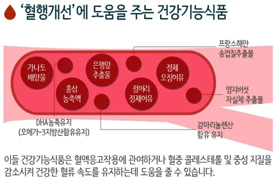 혈액순환에 좋은 음식