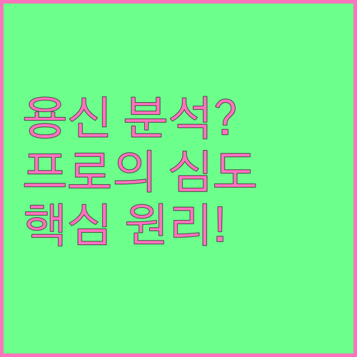 저가 프로그램과 다른 전문 작명가의 ..