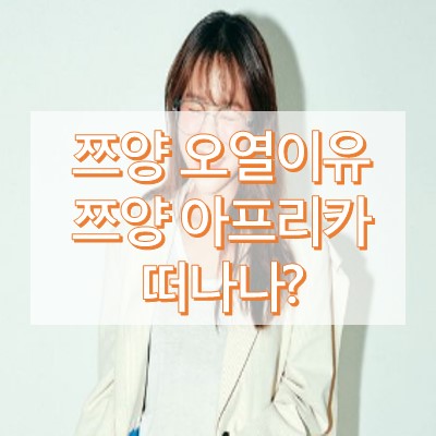 쯔양 오열한 이유