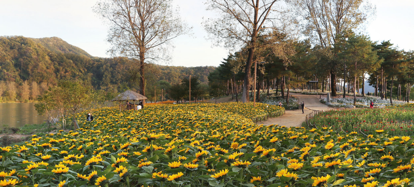 2024년 자라섬 꽃 페스타 일정