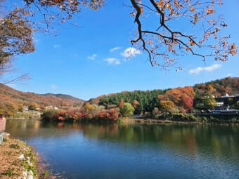 단풍 여행