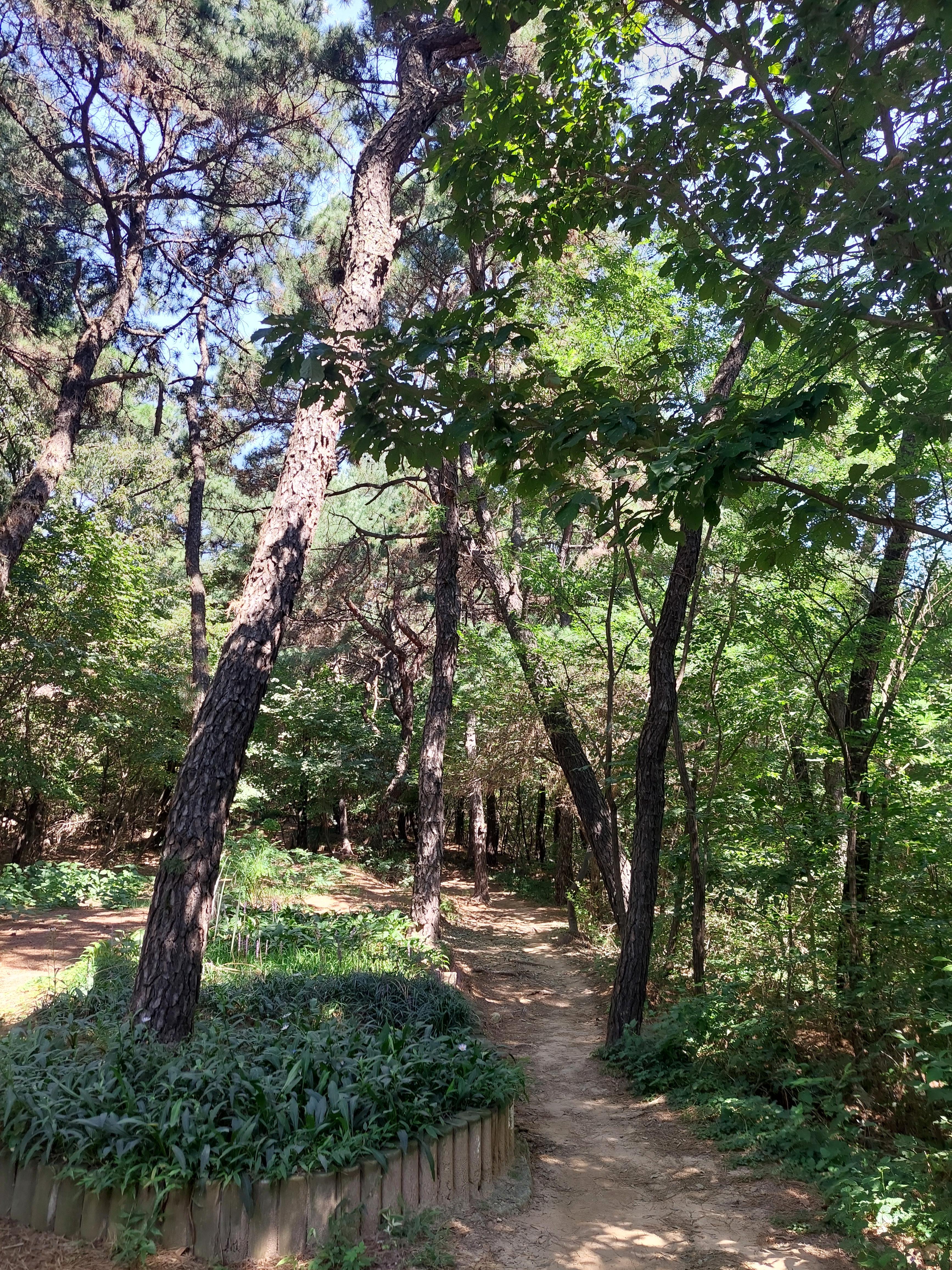 개화산
