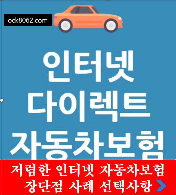 저렴한 인터넷 자동차보험 장단점 사례 선택사항