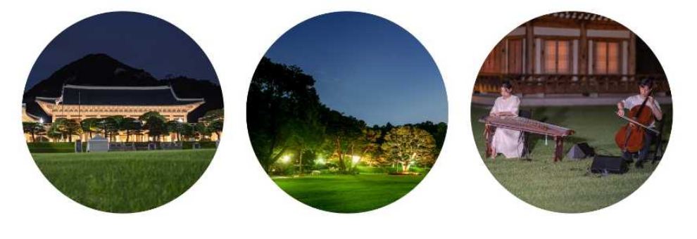 청와대 야간개장