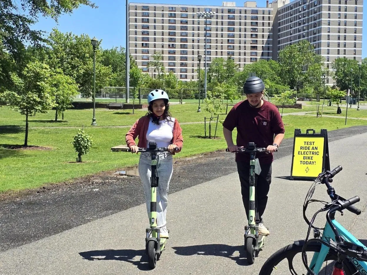 지쿠 살펴보기 2