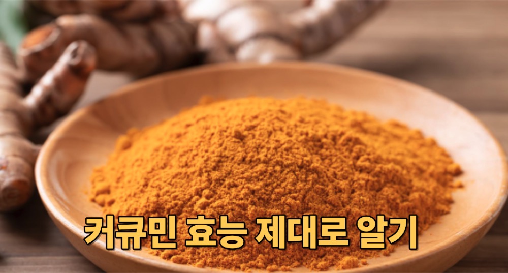 커큐민 효능