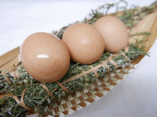 신선한계란모습