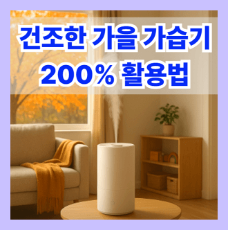 건조한 가을 가습기 활용법