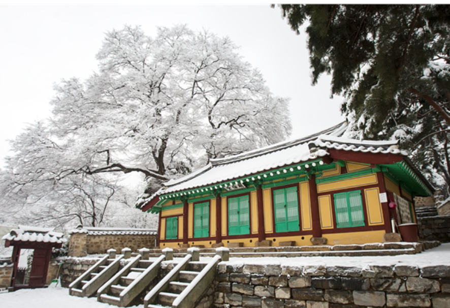 과천&amp;#44; 과천뉴스&amp;#44; 과천지정타&amp;#44; 과천지식정보타운&amp;#44; 지식정보타운&amp;#44; 과천시 뉴스&amp;#44; 소식과천시&amp;#44; &amp;#44;전기이륜차 구입 보조금 지원한다&amp;#44;