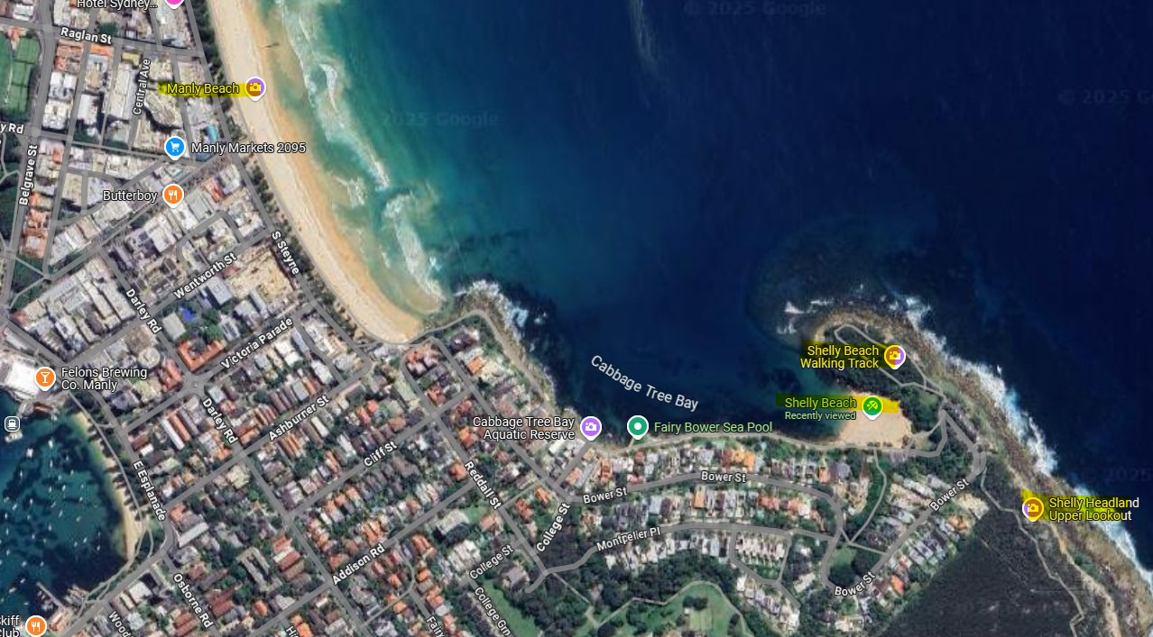 Manly, Shelly Beach Walking Track &amp; Lookout