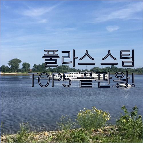 풀라스 휴대용 스팀다리미 추천 TOP..