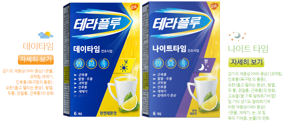 테라플루 테이타임과 나이트타임의 차이