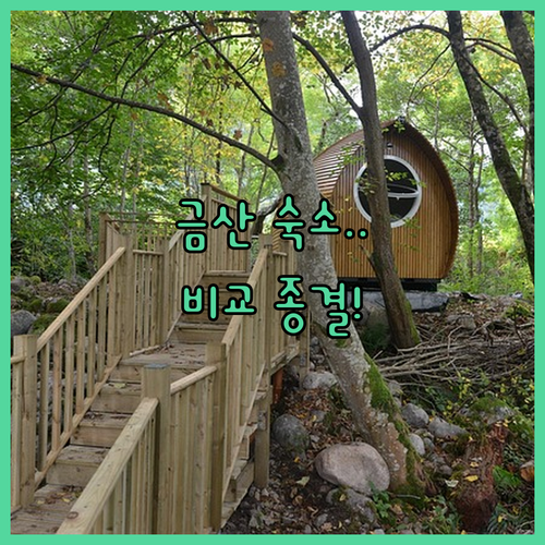 금산 여행 숙소 리스트 온수풀 스테이..