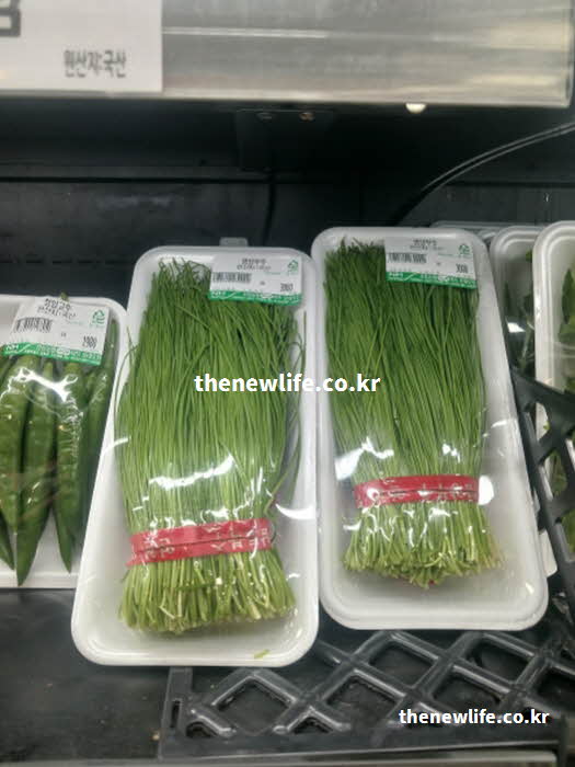 부추 효능 먹는 방법 데치기