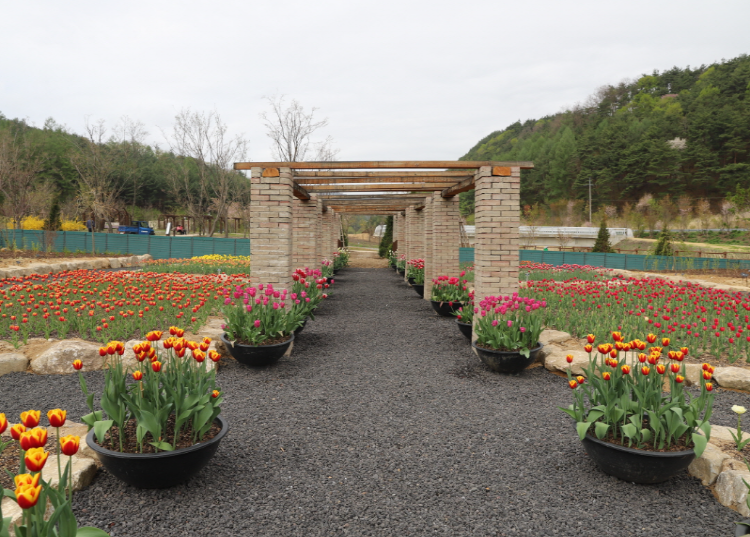 백두대간 수목원