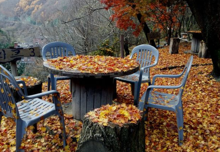 2025 가을 소백산 단풍 절정 &amp; 등산코스 가이드 ❘ 비로봉&middot;천동 코스&middot;주차장 정보