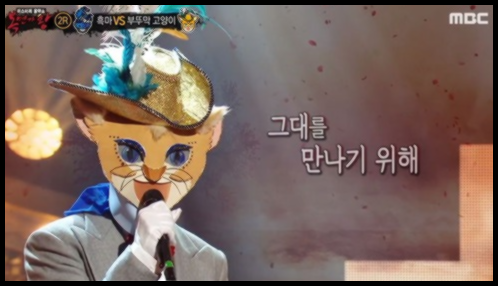 복면가왕 부뚜막 고양이