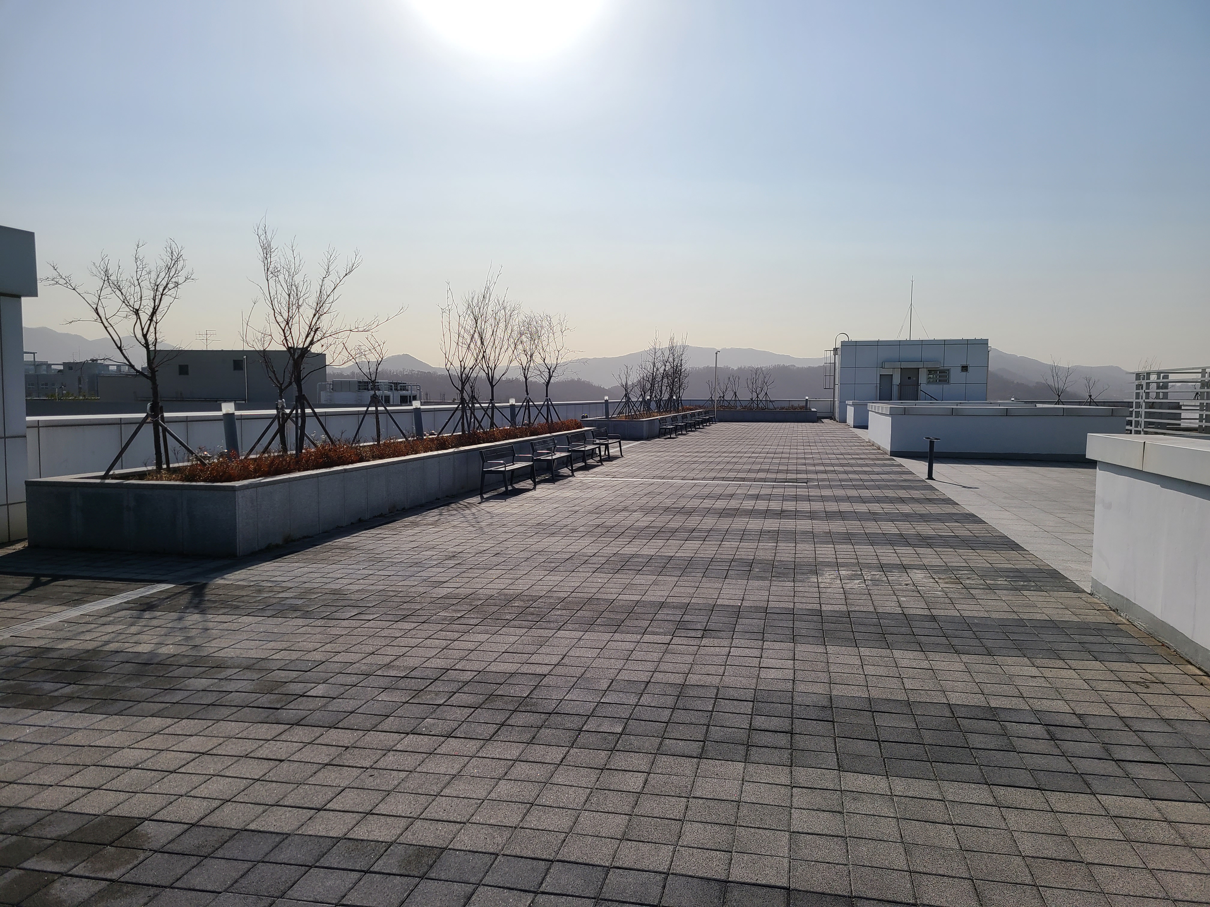 미스 테스타타워 옥상2