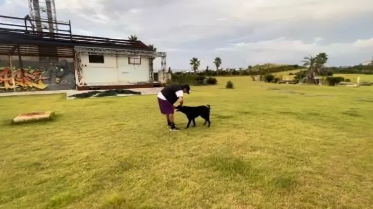 조한선 애견카페