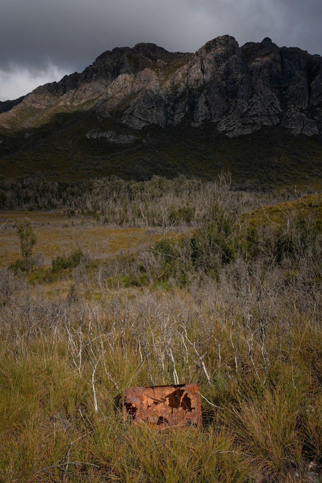 이불 폐기 방법 총정리: 2025년 기준으로 알아야 할 7가지 관련 이미지 1